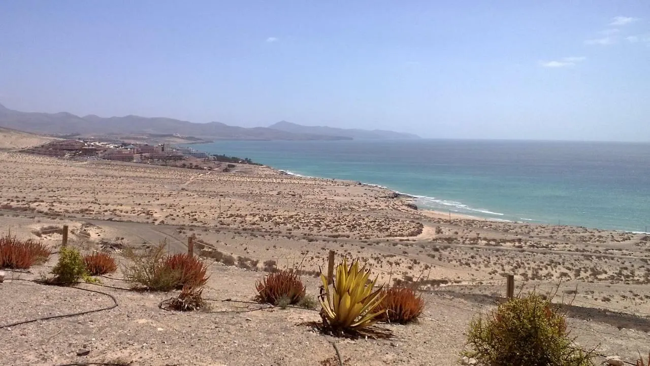 Your Ocean Eyes Costa Calma